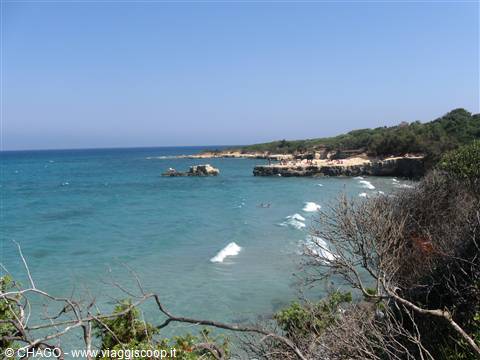 Sant' Andrea