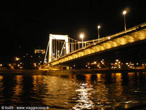 ponte elisabetta di notte