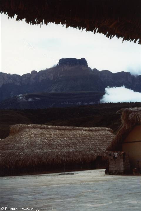 Kavak