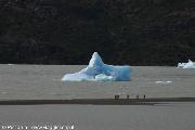 Glaciar Grey