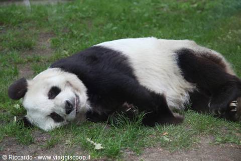 Zoo
