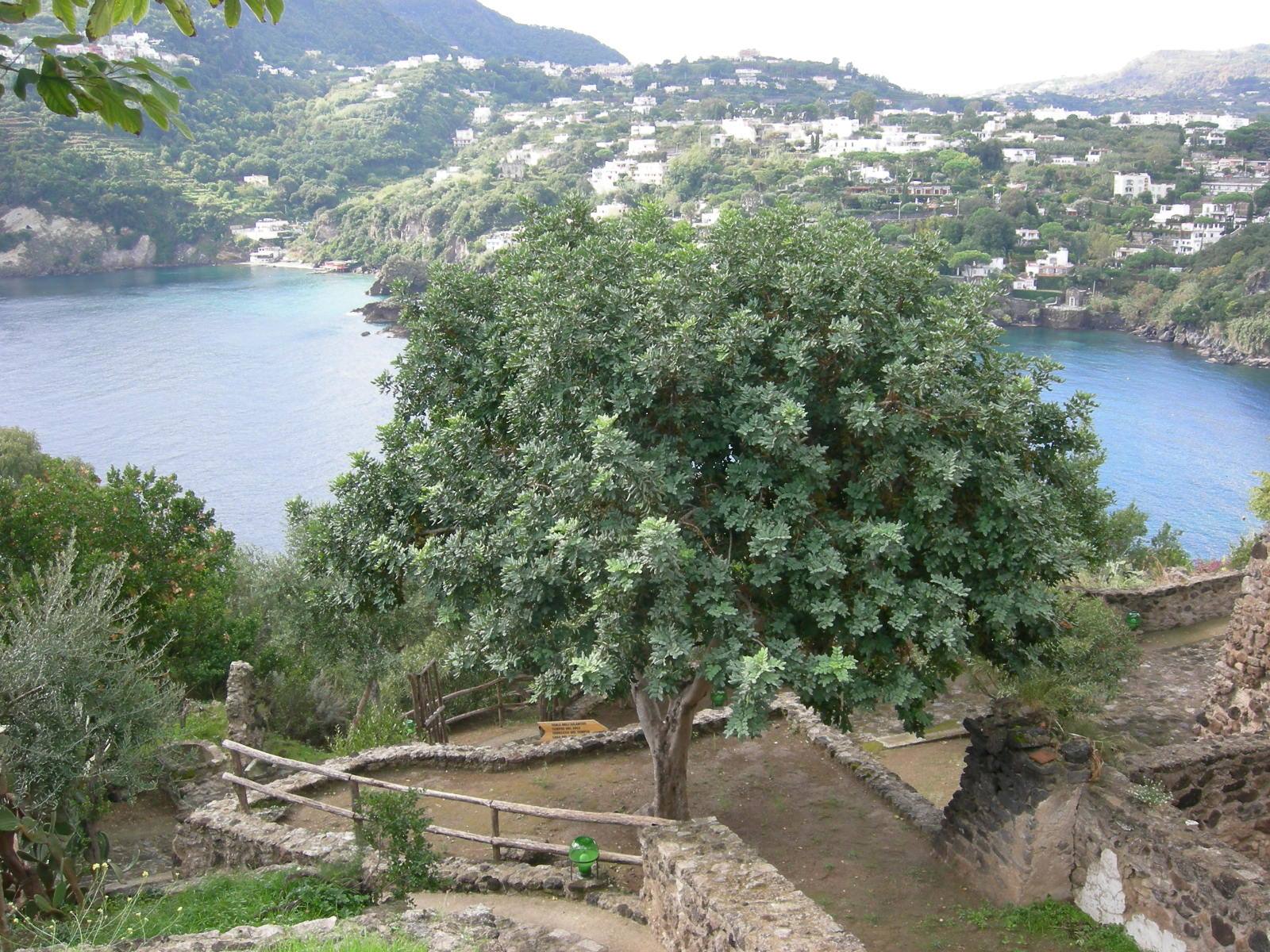 Foto di viaggio in ITALIA
