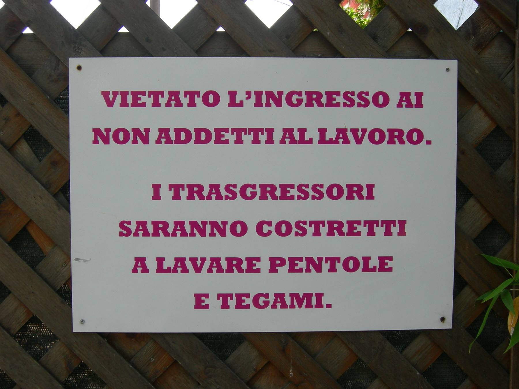trasgressori