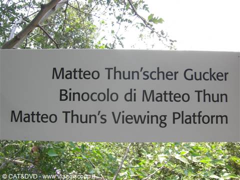 binocolo di matteo