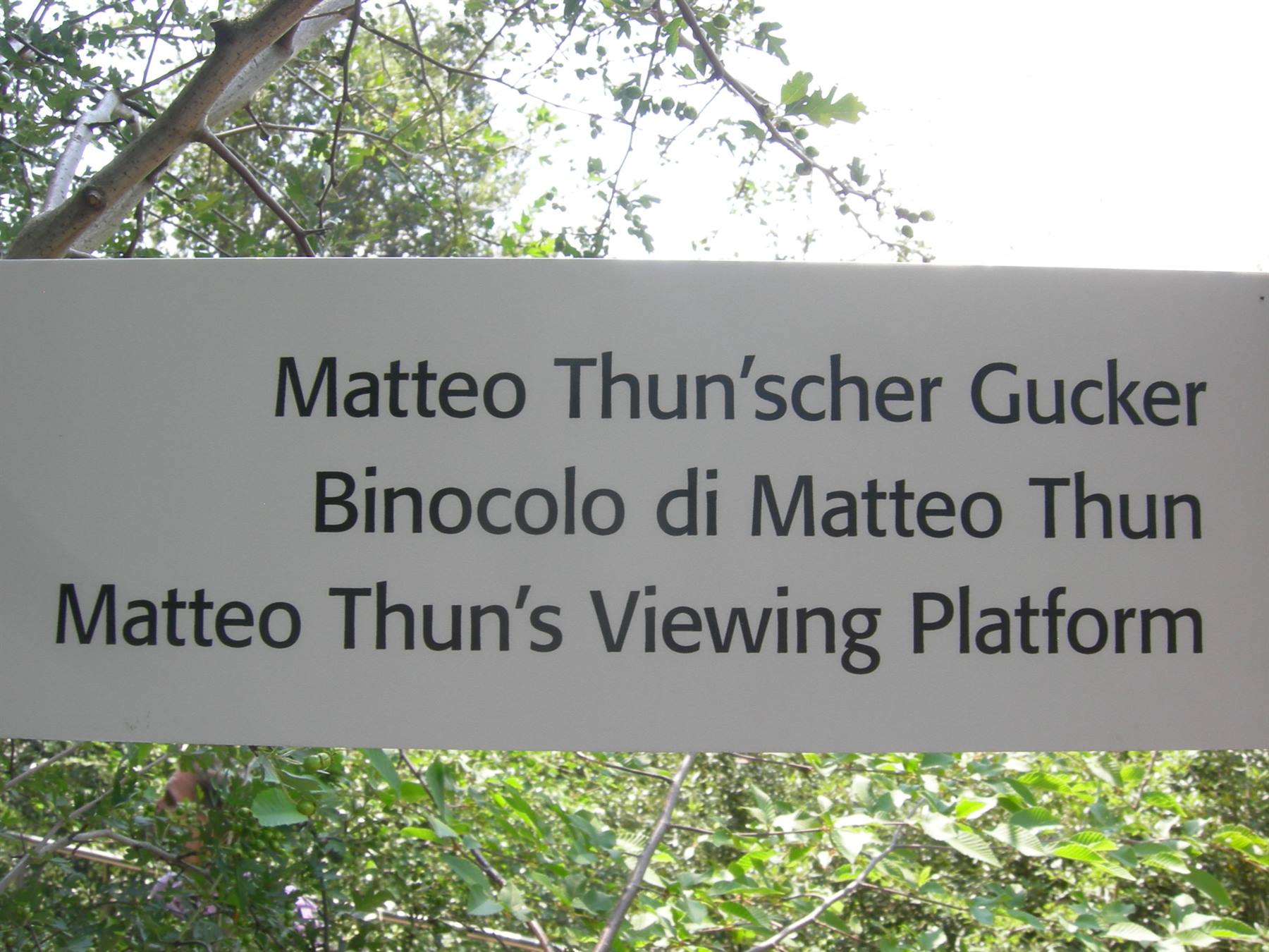 binocolo di matteo