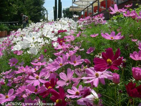 giardini di castel trauttmansdorff