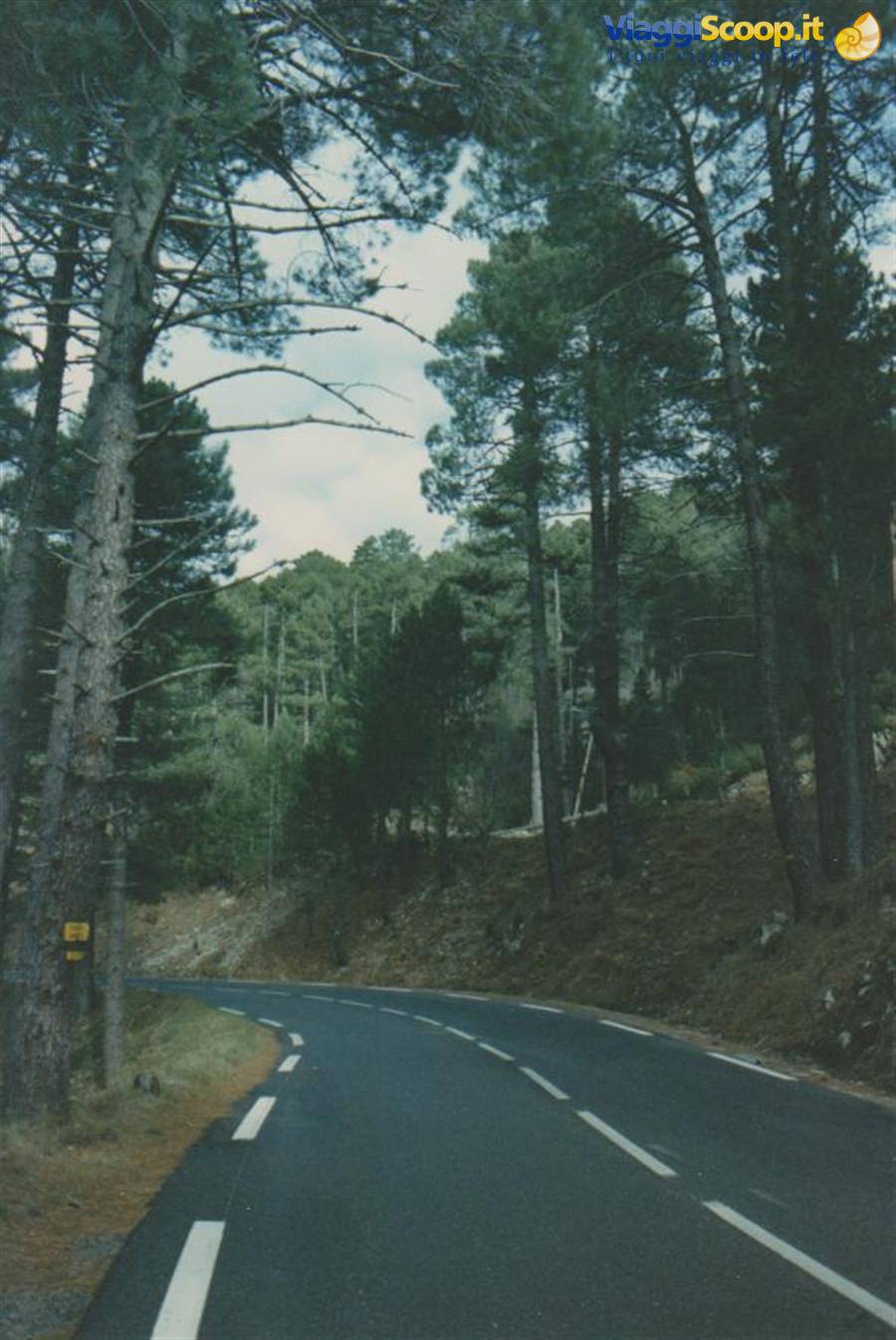 Foto di viaggio in FRANCIA