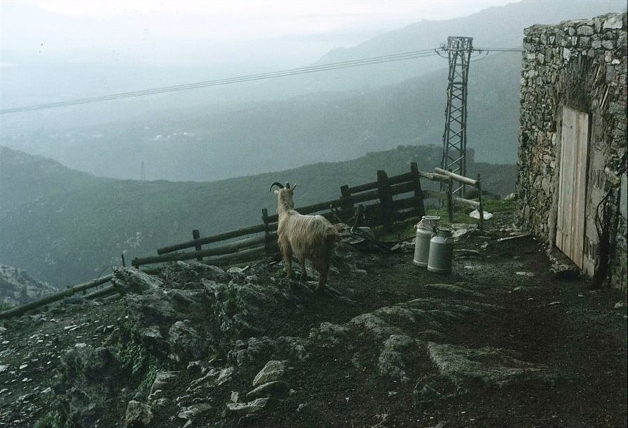Foto di viaggio in FRANCIA