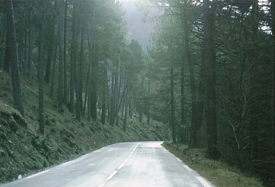 Foto di viaggio in FRANCIA