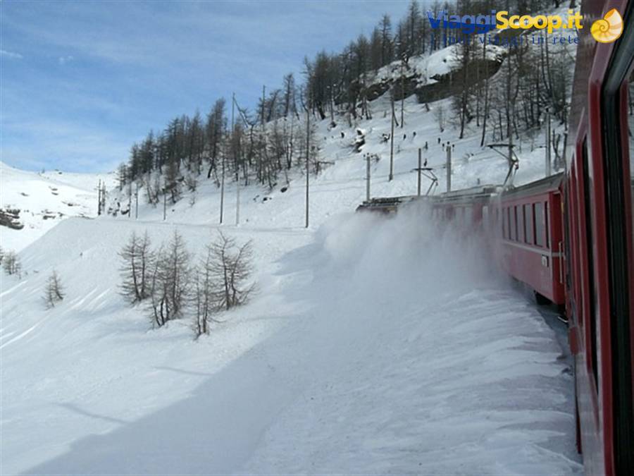 Foto di viaggio in SVIZZERA