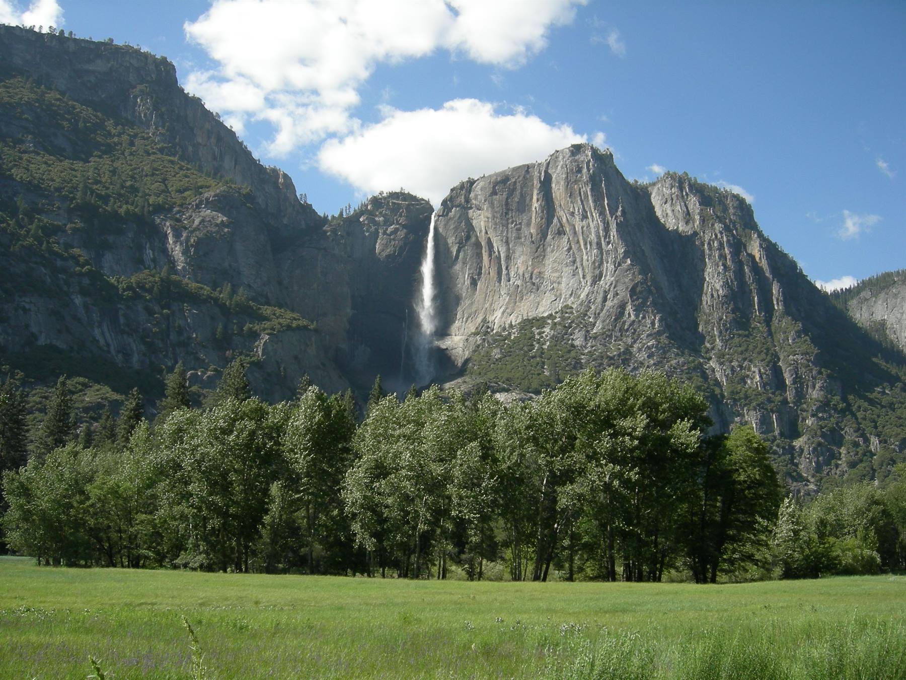 Yosemite N.P.