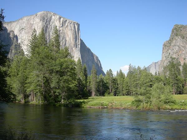 Yosemite N.P.