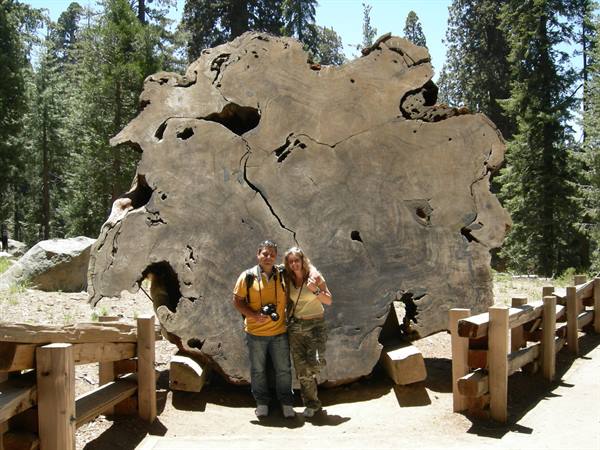 Sequoia N.P.