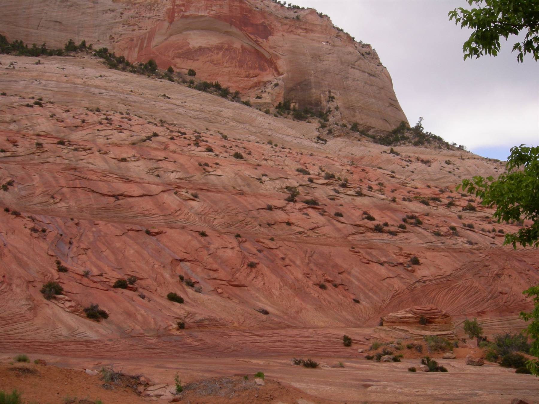Zion N.P.