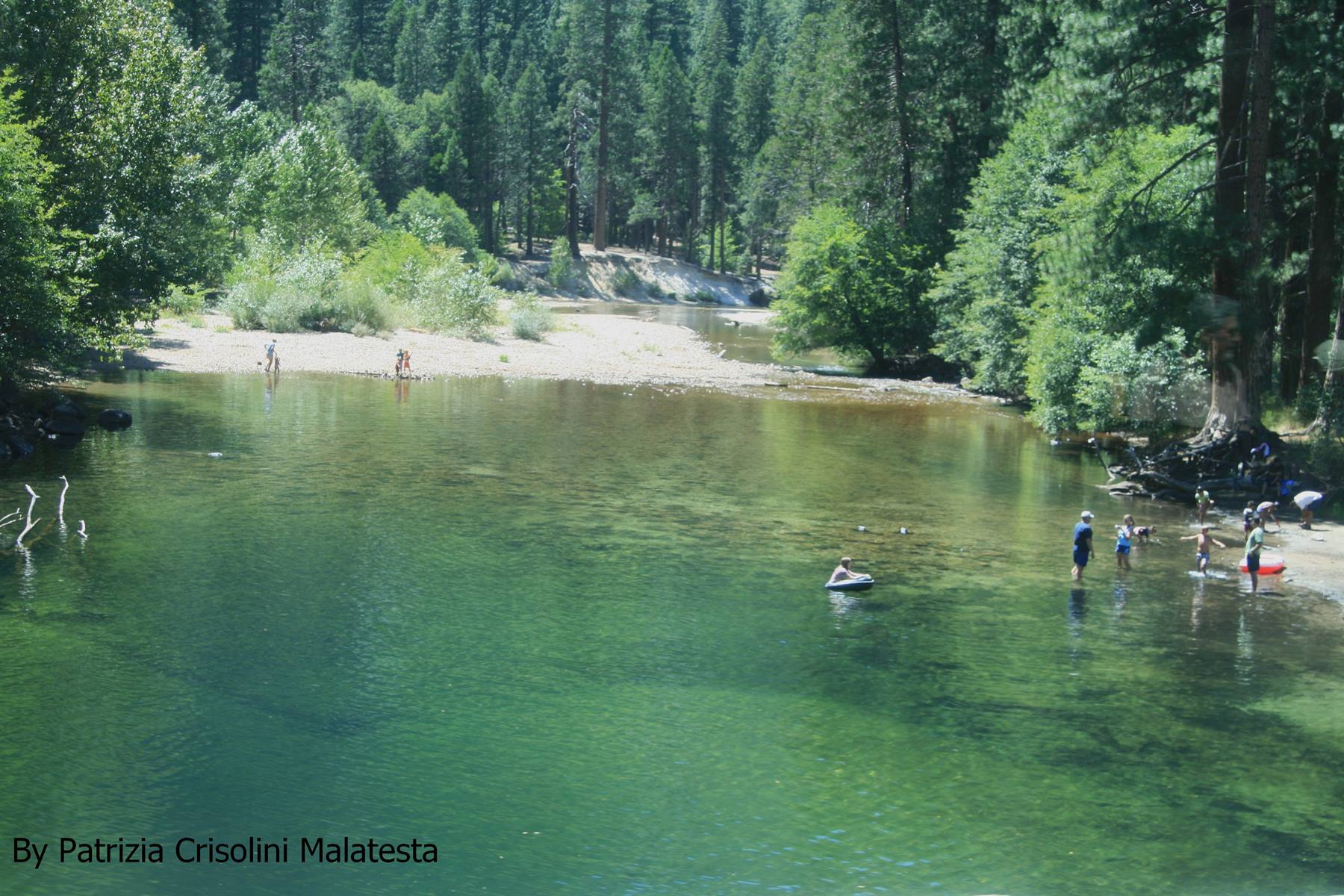 Yosemity Park