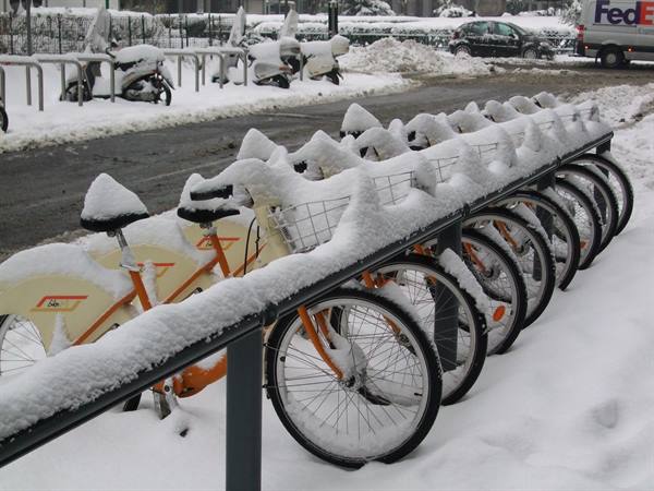 Le biciclette BikeMi