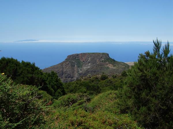 Parque Nacional de Garajonay (La Gomera)