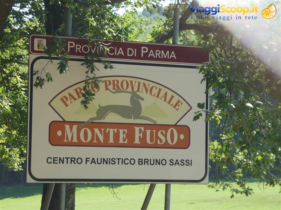 Foto di viaggio in ITALIA
