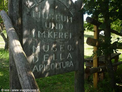 museo delle api