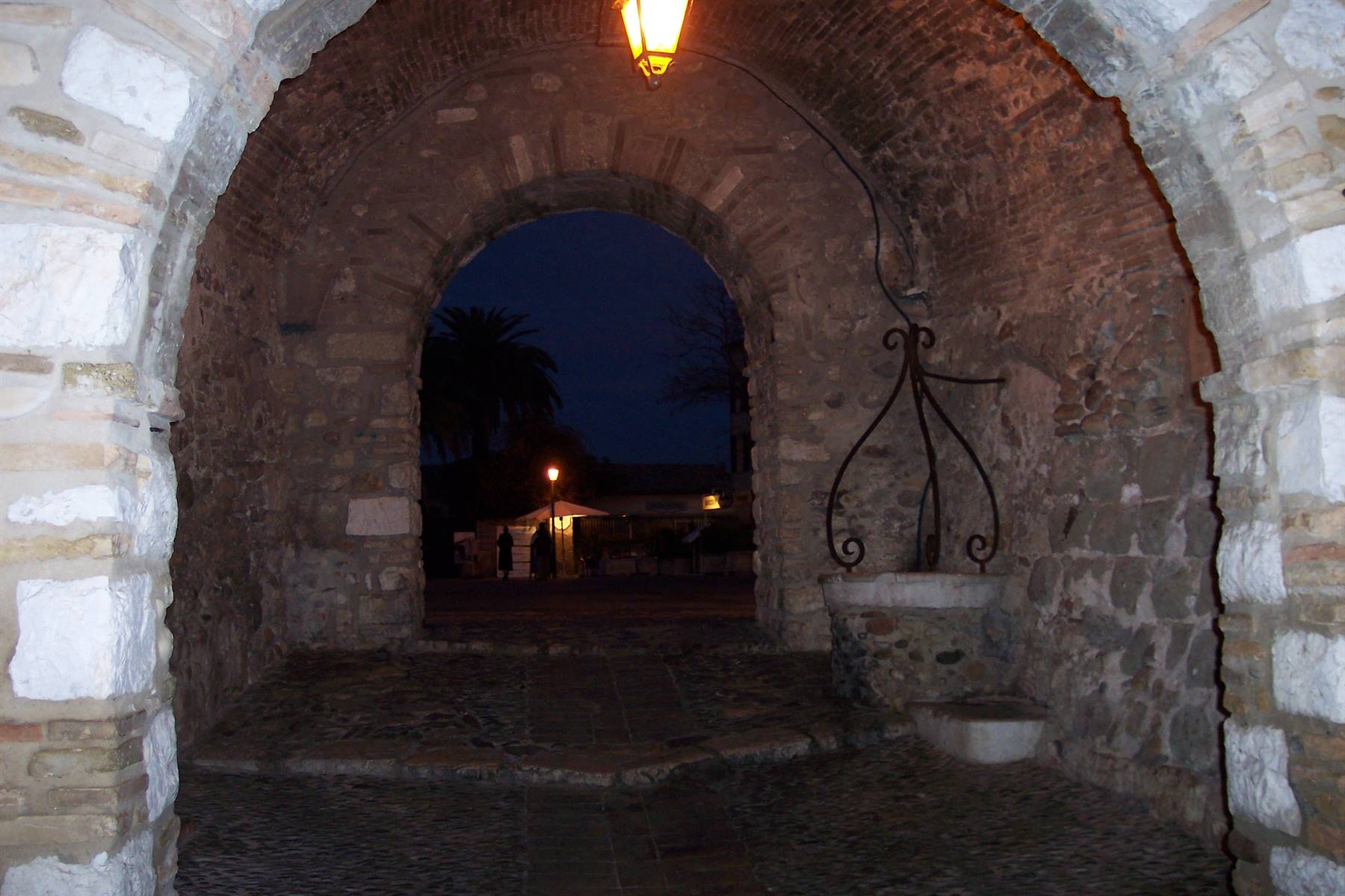 portici cagne