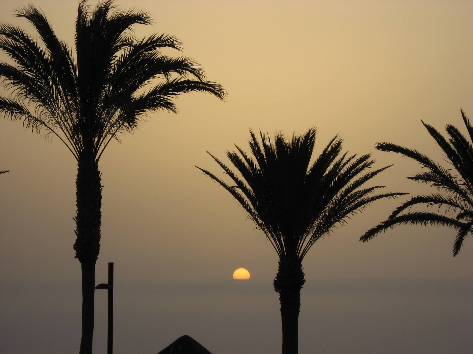 tramonto a playa de las americas