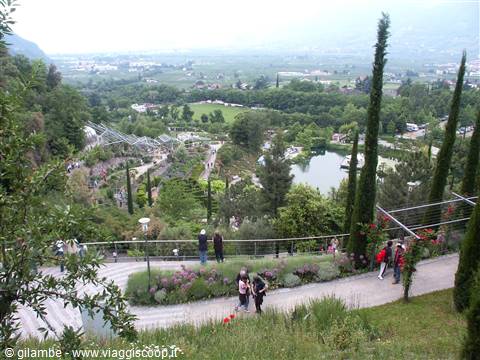 Merano 045 - Giardini di Castel Trauttmansdorff