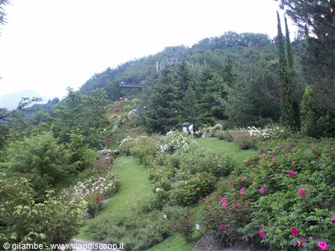 Merano 051 - Giardini di Castel Trauttmansdorff
