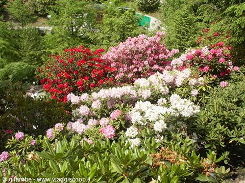 Merano 074 - Giardini di Castel Trauttmansdorff