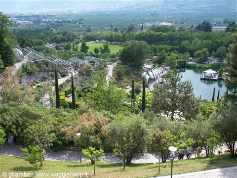 Merano 077 - Giardini di Castel Trauttmansdorff
