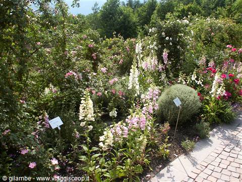 Merano 088 - Giardini di Castel Trauttmansdorff