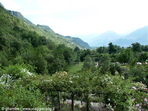 Merano 089 - Giardini di Castel Trauttmansdorff