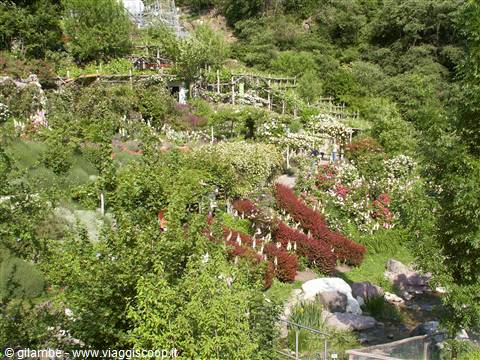 Merano 093 - Giardini di Castel Trauttmansdorff