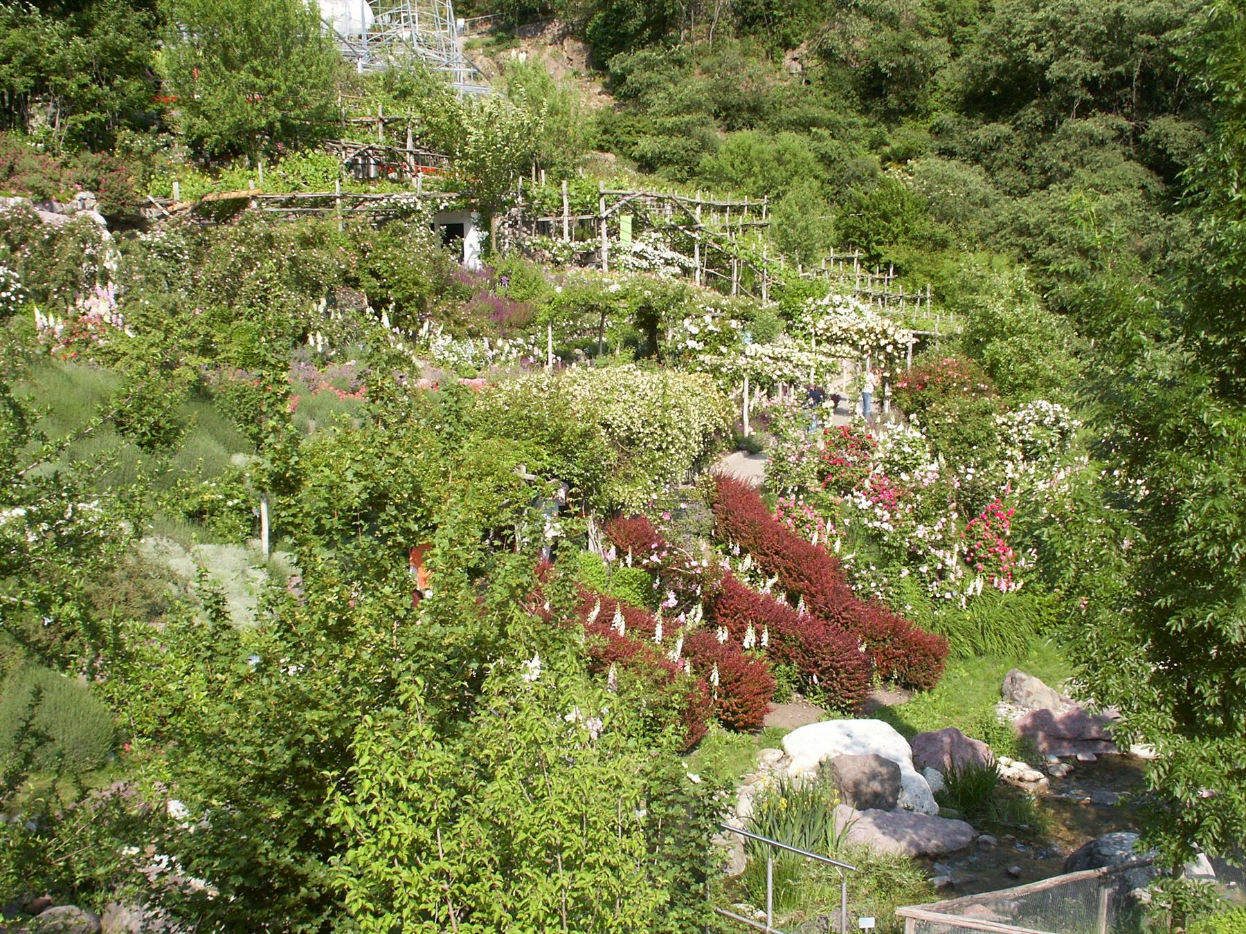Merano 093 - Giardini di Castel Trauttmansdorff