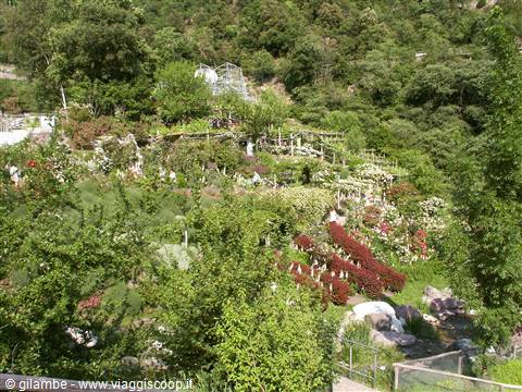 Merano 096 - Giardini di Castel Trauttmansdorff