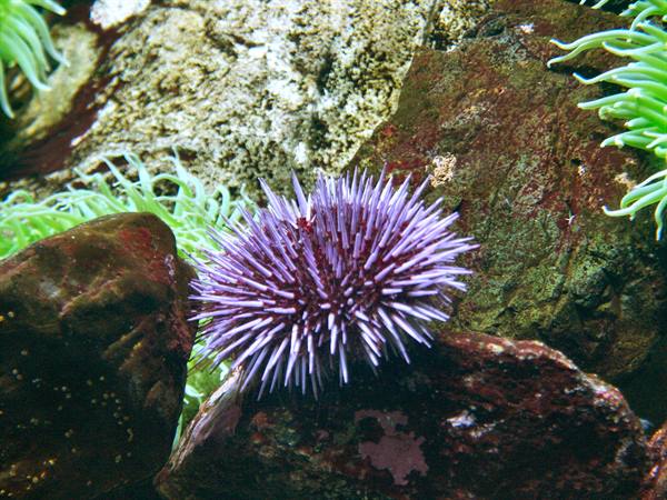 01 Lisbona - 06.40 Parque das Nações - Oceanario