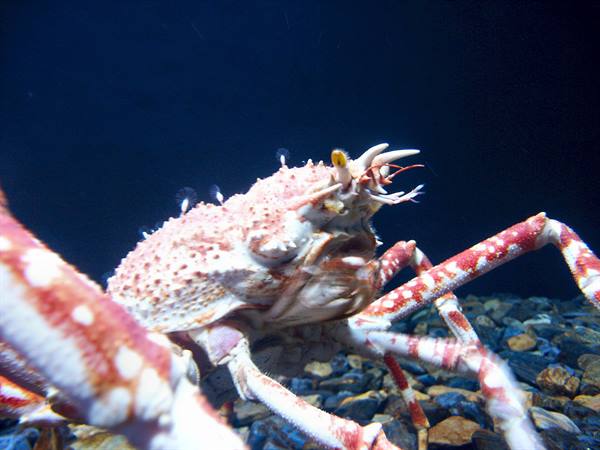 01 Lisbona - 06.43 Parque das Nações - Oceanario