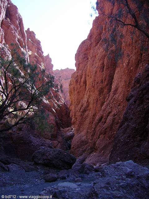 Canyon de l'Inca
