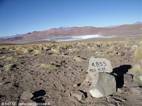 a 4855m ... vista sulla laguna Hedionda