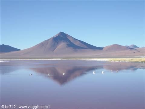 Laguna Colorada