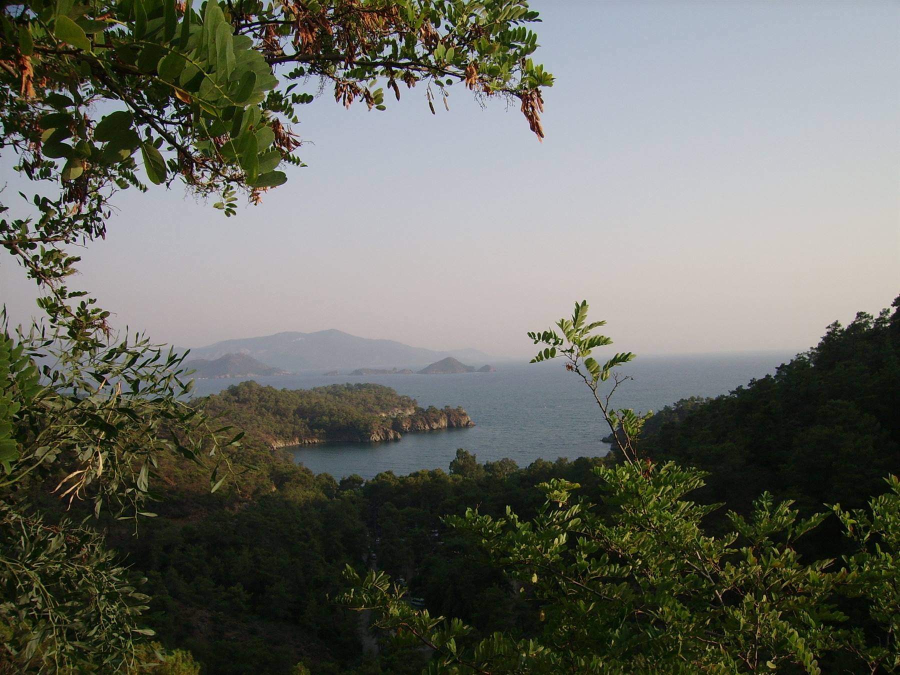Costa turchese