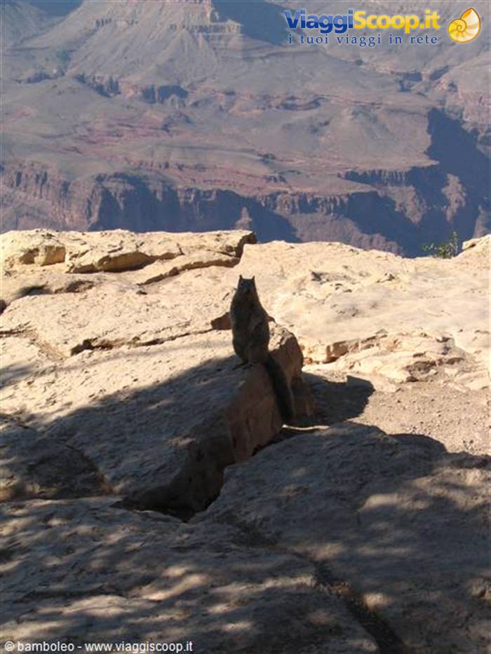 gran canyon