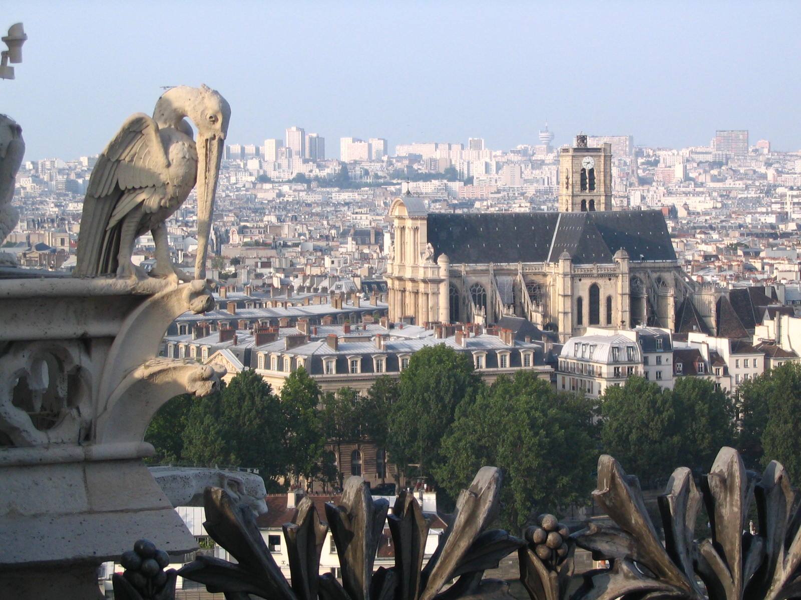 Foto di viaggio in FRANCIA