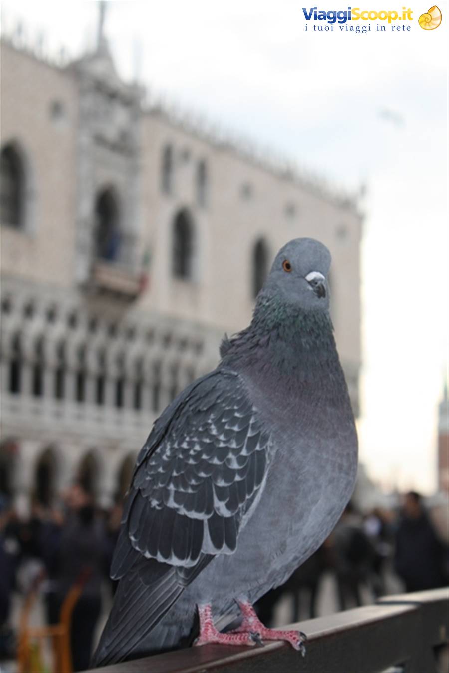 Foto di viaggio in ITALIA