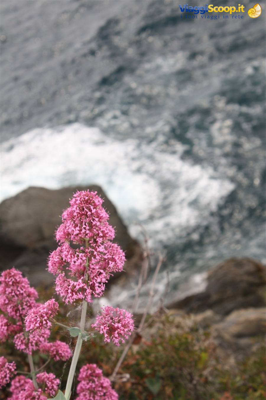 Foto di viaggio in ITALIA