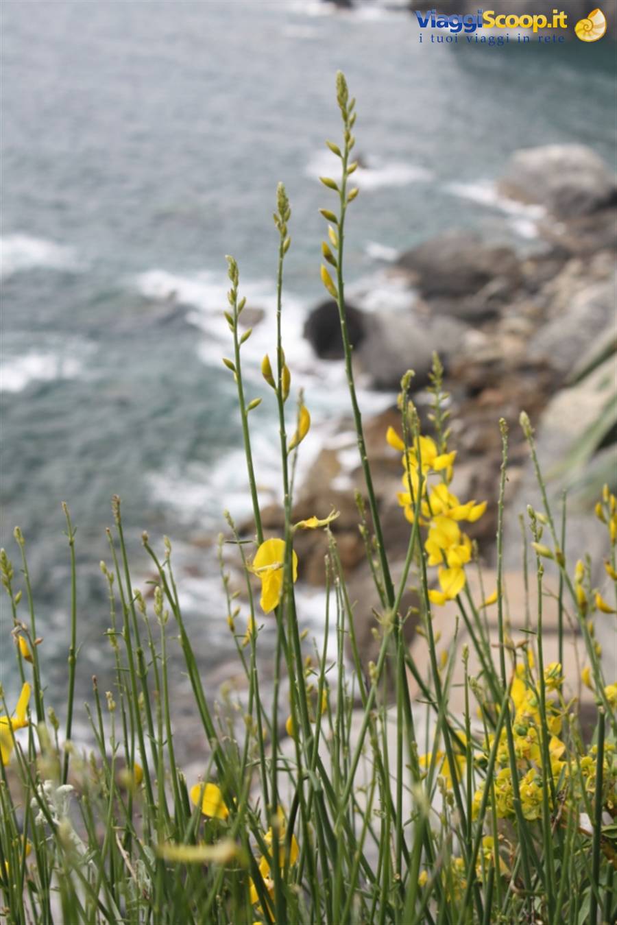 Foto di viaggio in ITALIA