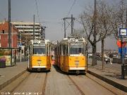 Filobus