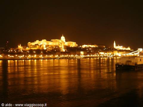 Ponte Elisabetta by night