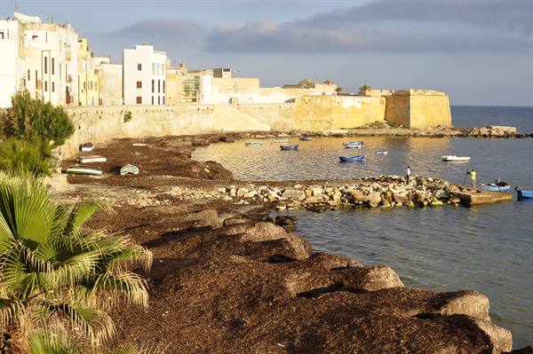 Trapani all'alba