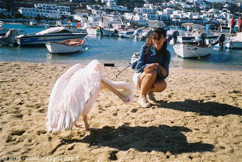 "Porto Mykonos"