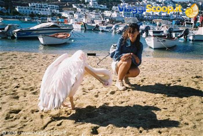 "Porto Mykonos"